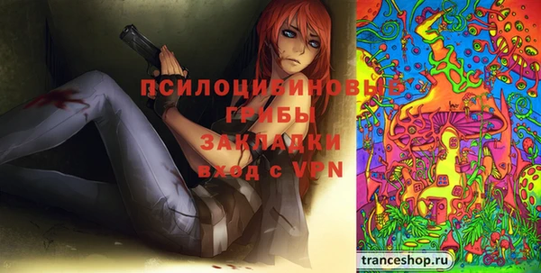 apvp Белокуриха