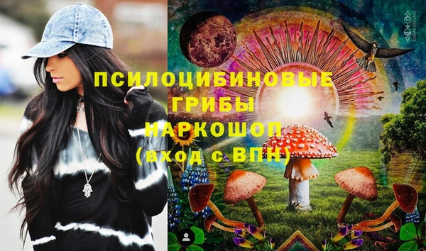 apvp Белокуриха