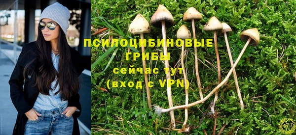 apvp Белокуриха