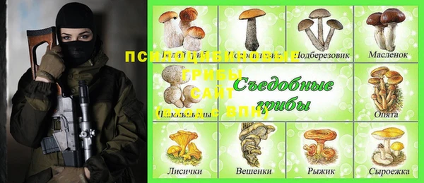 apvp Белокуриха