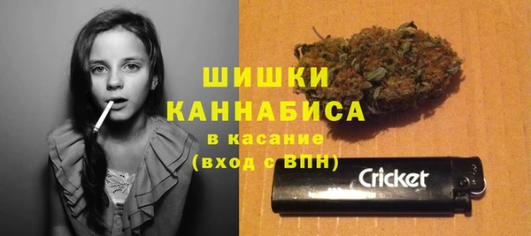 apvp Белокуриха